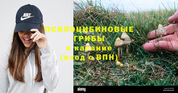 дмт Каменка