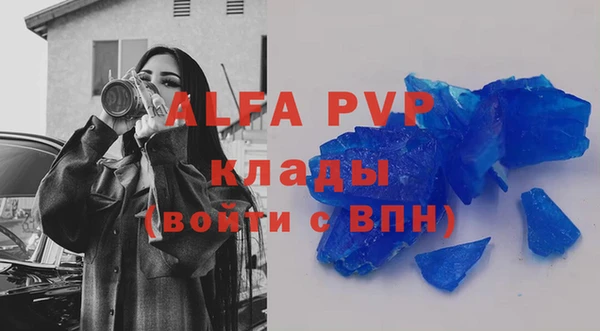 дмт Каменка