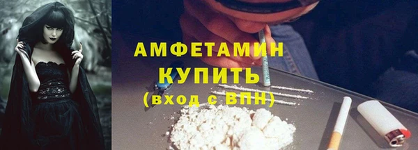 дмт Каменка