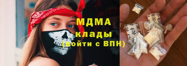 дмт Каменка