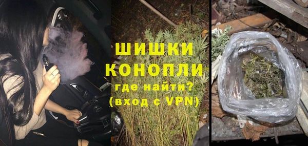 дмт Каменка