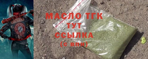 дмт Каменка