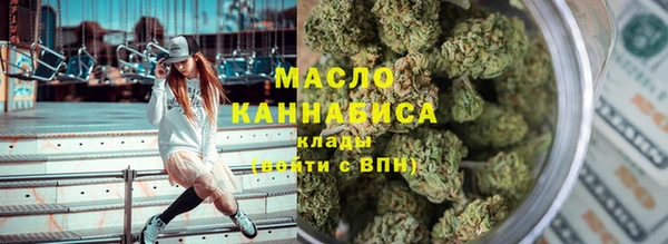 дмт Каменка